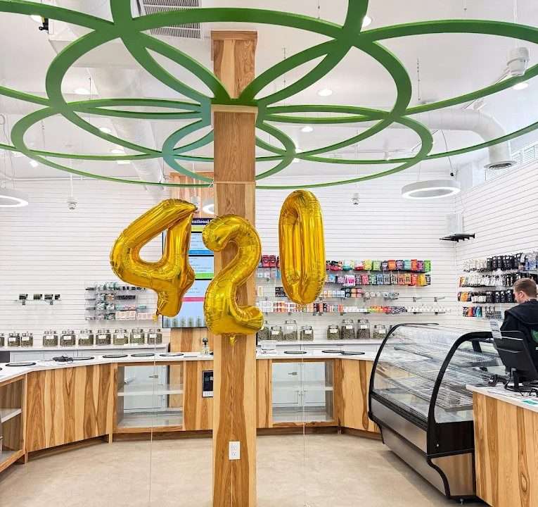 Life Flower Retail