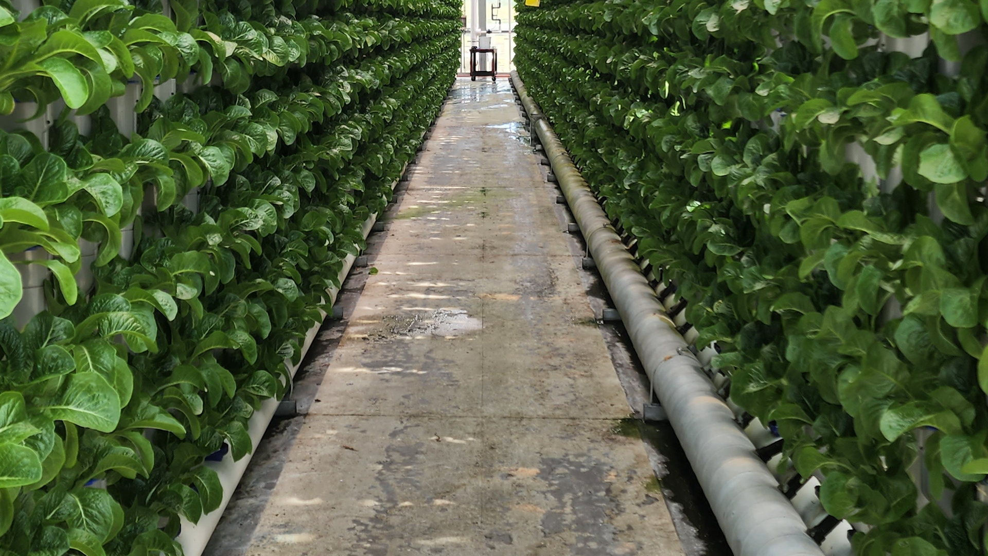 Greenhouse fertigation