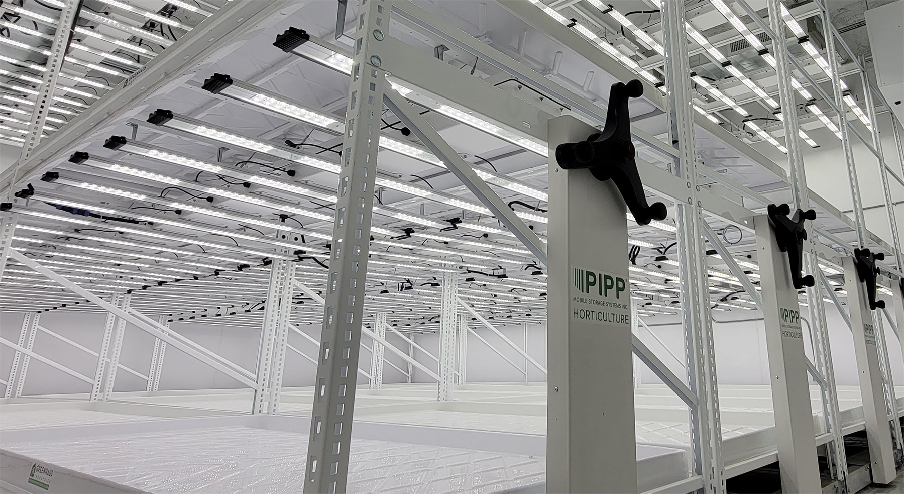 Vegetable Cultivation With Vertical Farming