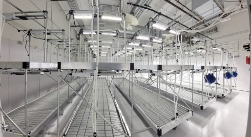 Vertical grow racking installed at 710 Labs