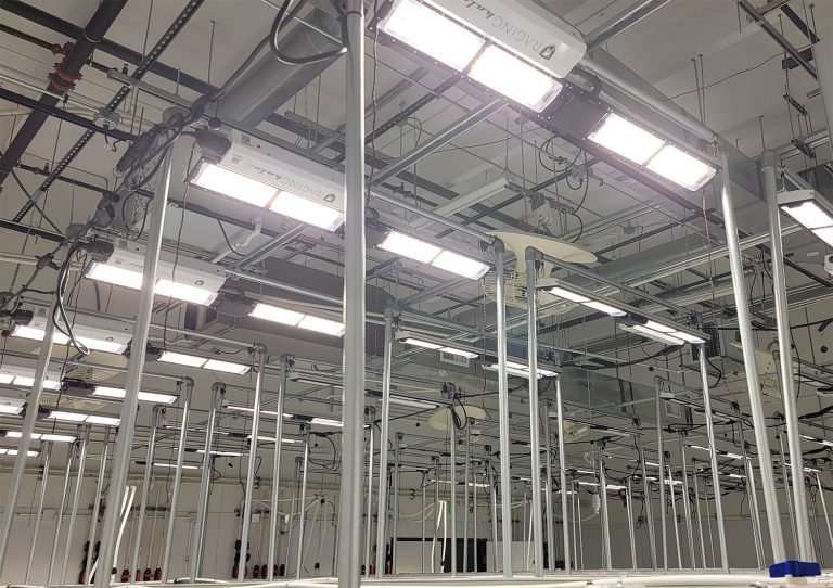 Vertical cultivation racking rows at 710 Labs