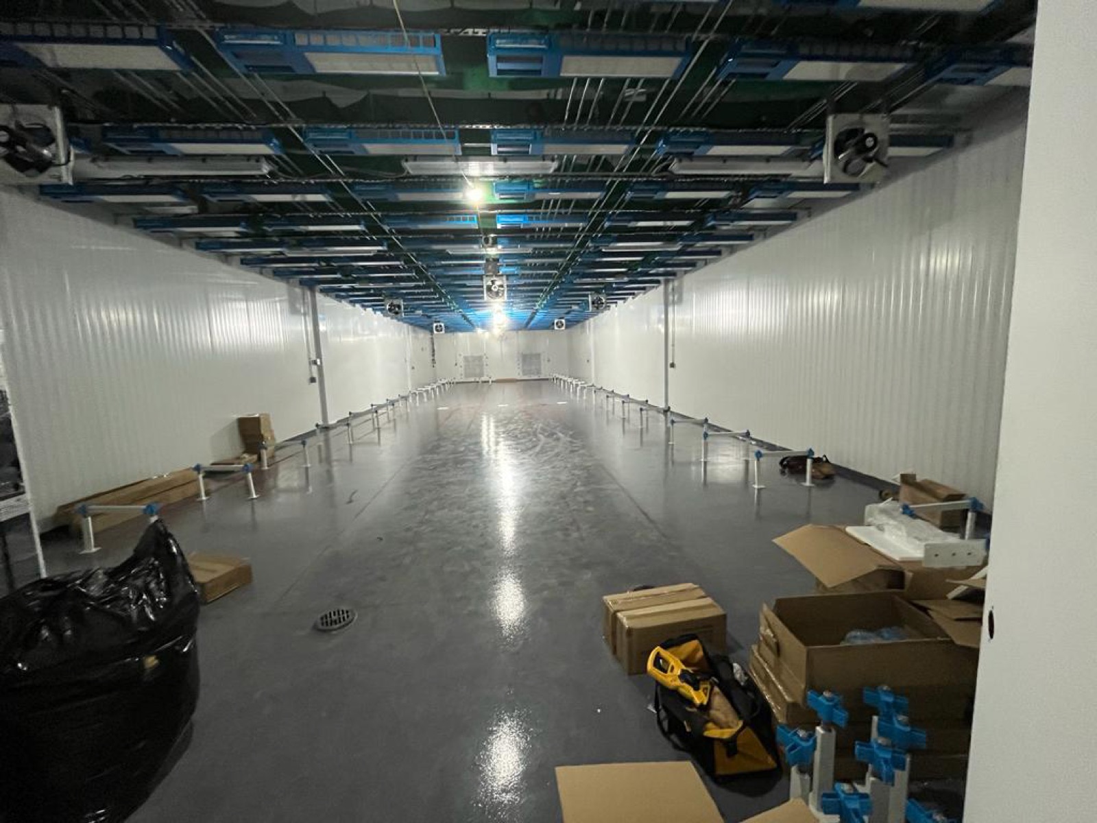 Cultivation room with overhead cable trays and circulation fans ahead of bench installation
