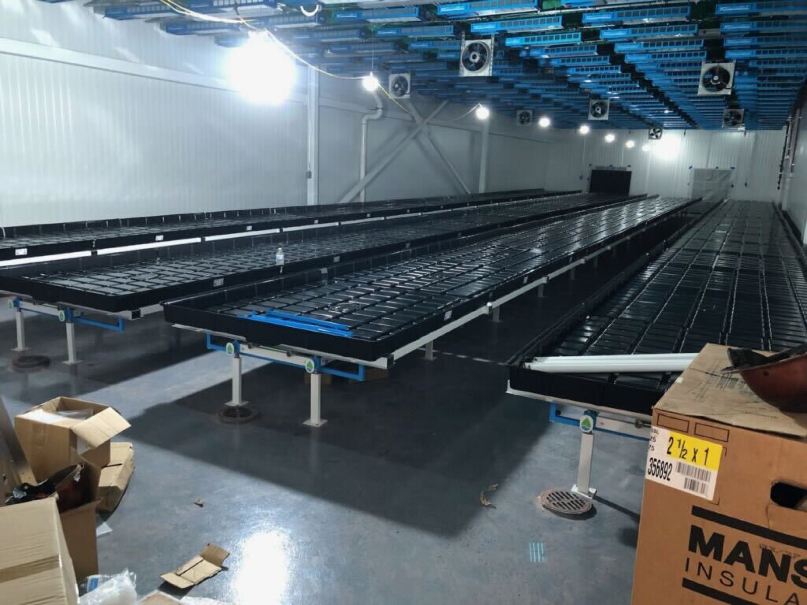 Rows of rolling grow benches installed across the cultivation room